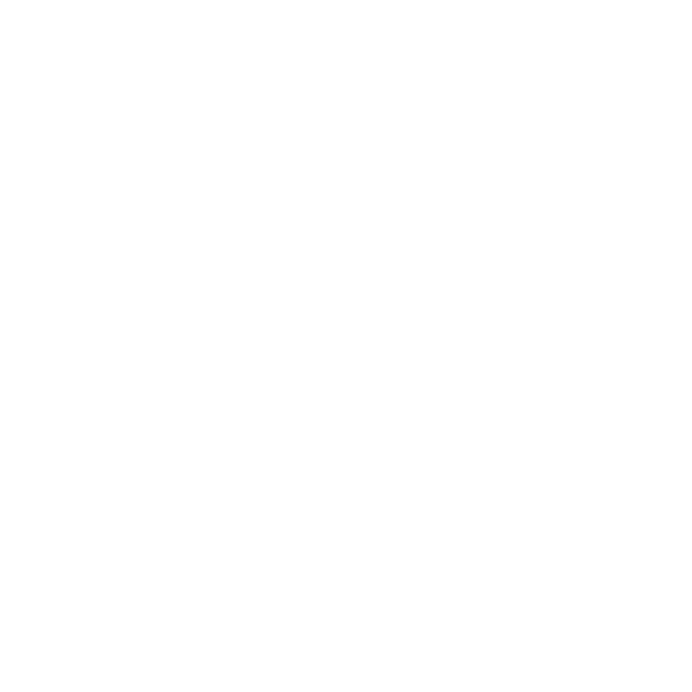 arpaca holding b.v.